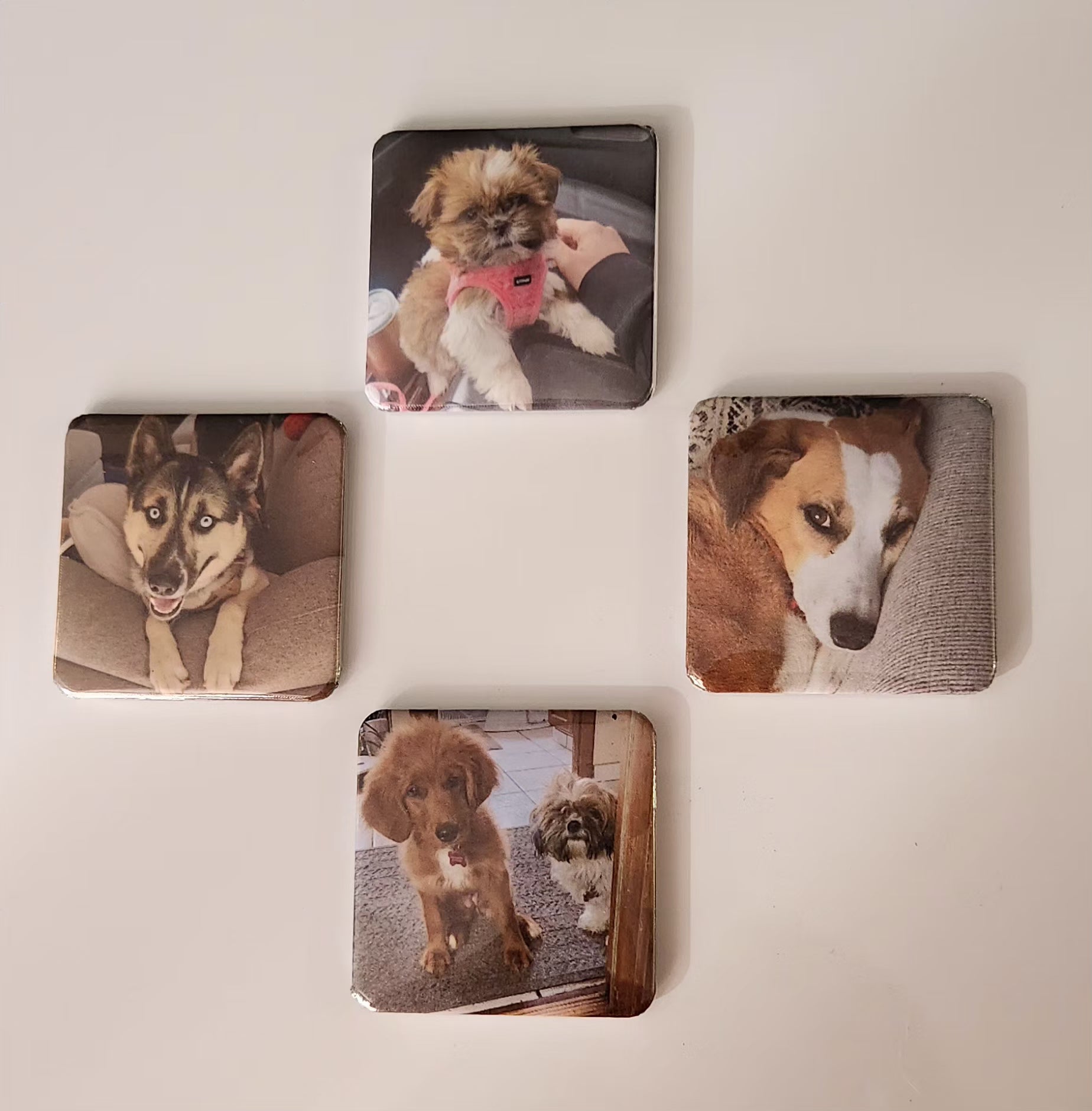 Custom 2" x 2" Photo Magnets